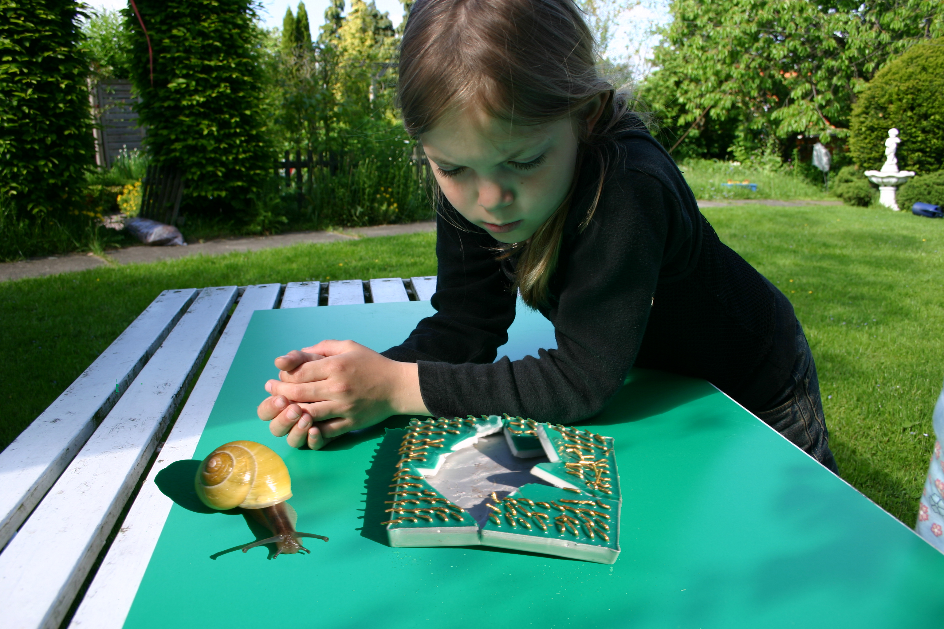 carolin und der prozessor